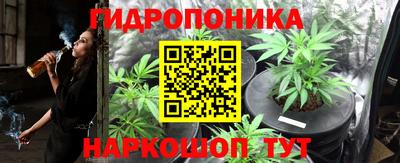 молекула духа Пушкино