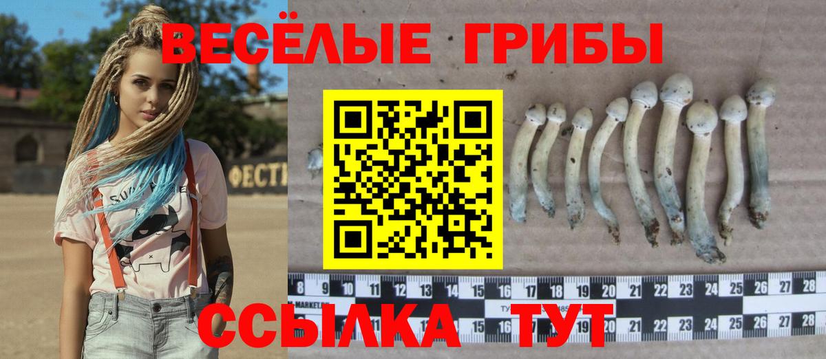 Троицк  Псилоцибиновые грибы MAGIC MUSHROOMS  купить закладку  Вход с VPN 
