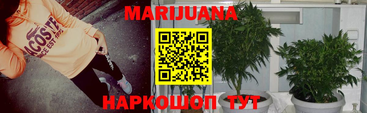 Троицк  Каннабис индика  Вход с VPN  Канабис конопля  Канабис AK-47  Бошки марихуана индика 